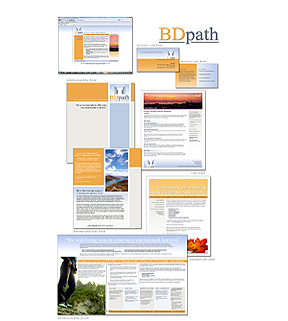 Photos & Design: Leah Snyder of The L. Project | L photography; BD Path ~ Portfolio Page